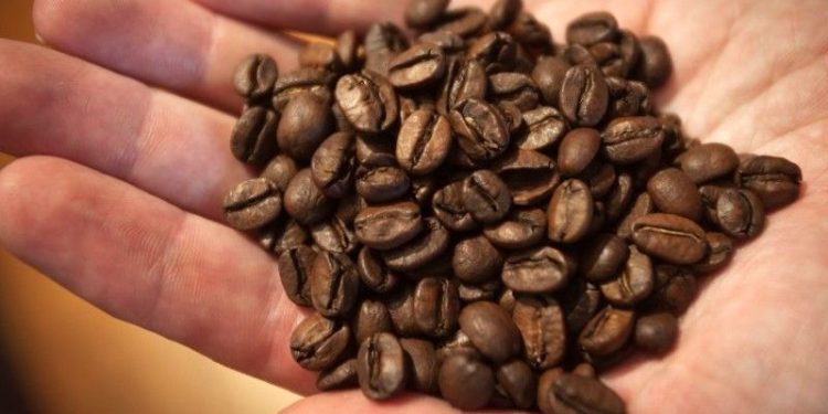 Preço do café pode ser o mais alto em 25 anos com problemas na produção