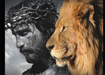 Jesus, o leão da tribo de Judá: o que isso significa?