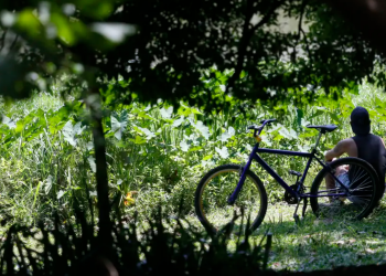 Outono chega com temperaturas acima da média em todas as regiões