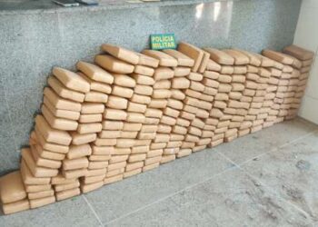 Polícia Militar e PRF apreendem 200 kg de maconha e prendem dupla em Acopiara